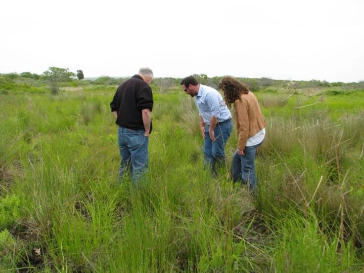 Working with the Tribes and determine how the agency can best respond to Tribal science needs