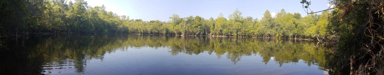 Big Cypress National Preserve waterway