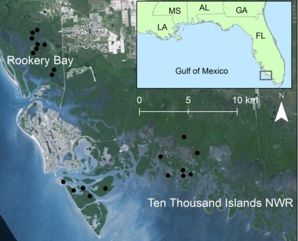 Map of Ten Thousand Islands, Florida