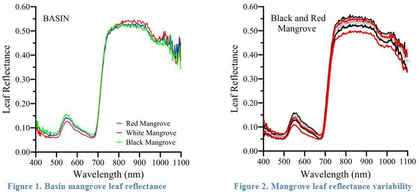 Fig. 1 Basin mangrove leaf reflectance. Fig. 2 Mangrove leaf reflectance variability