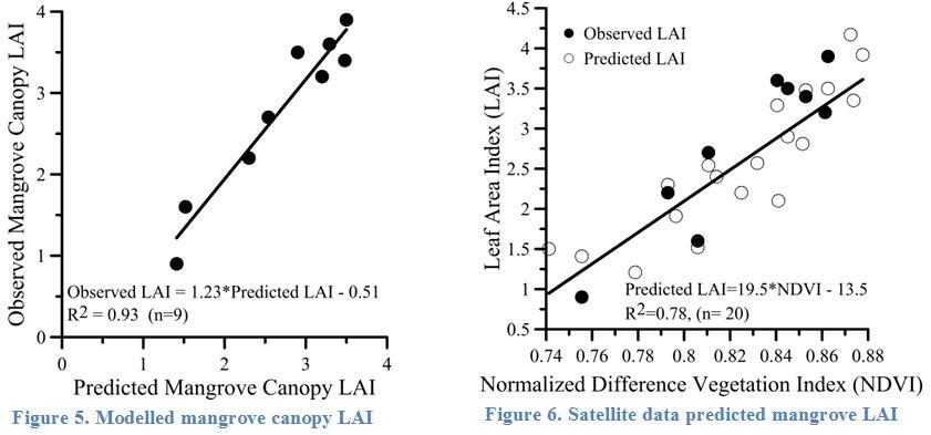 Figure 5. Modelled mangrove canopy LAI. Figure 6. Satellite data predicted mangrove LAI.