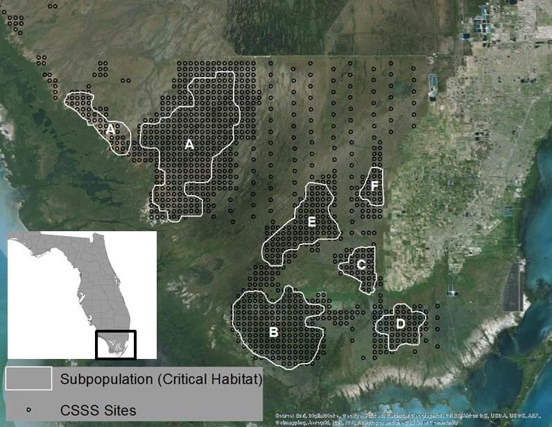Cape Sable Seaside Sparrow critical habitat boundaries and survey locations in south Florida