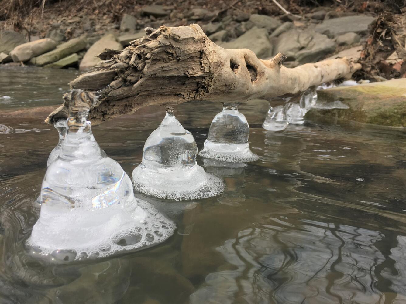 Photograph of ice formations in a stream