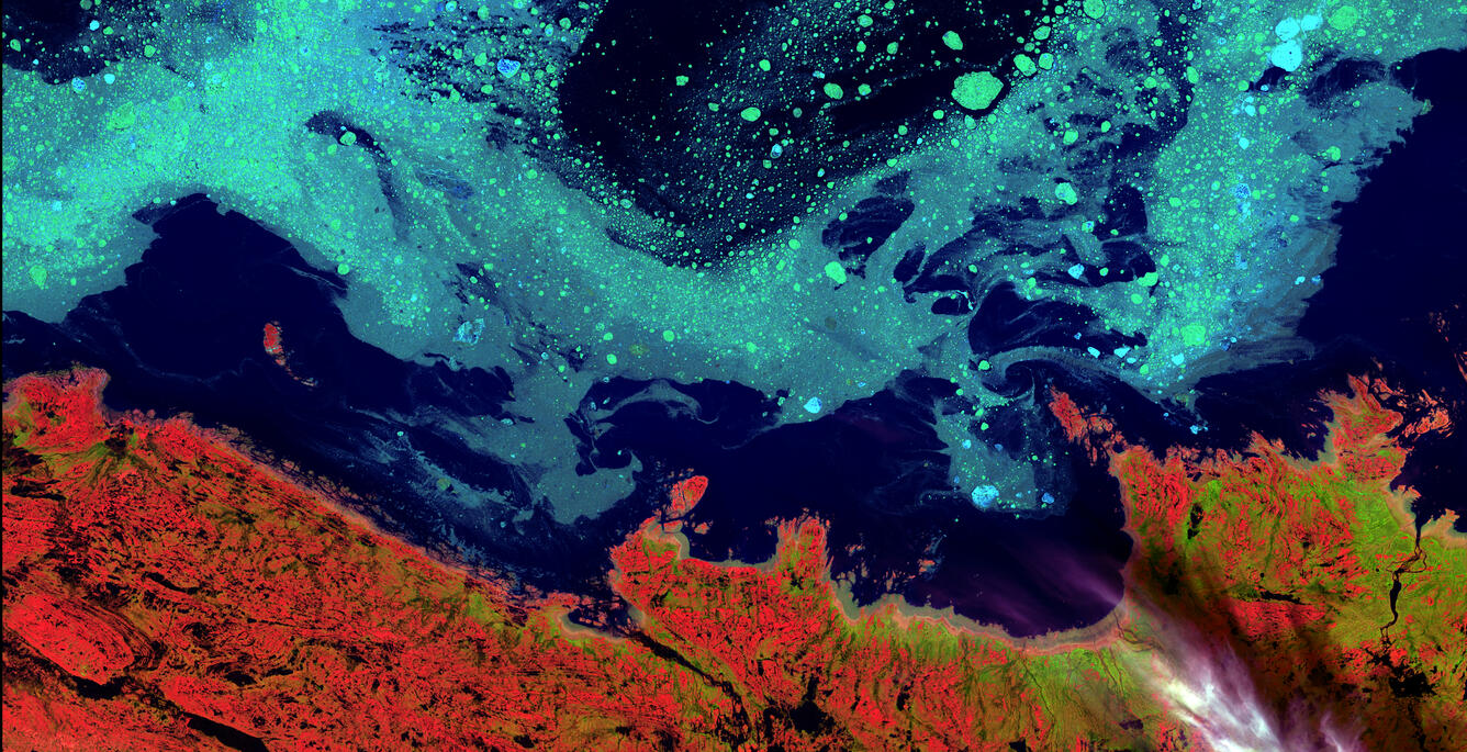 Landsat 8 image