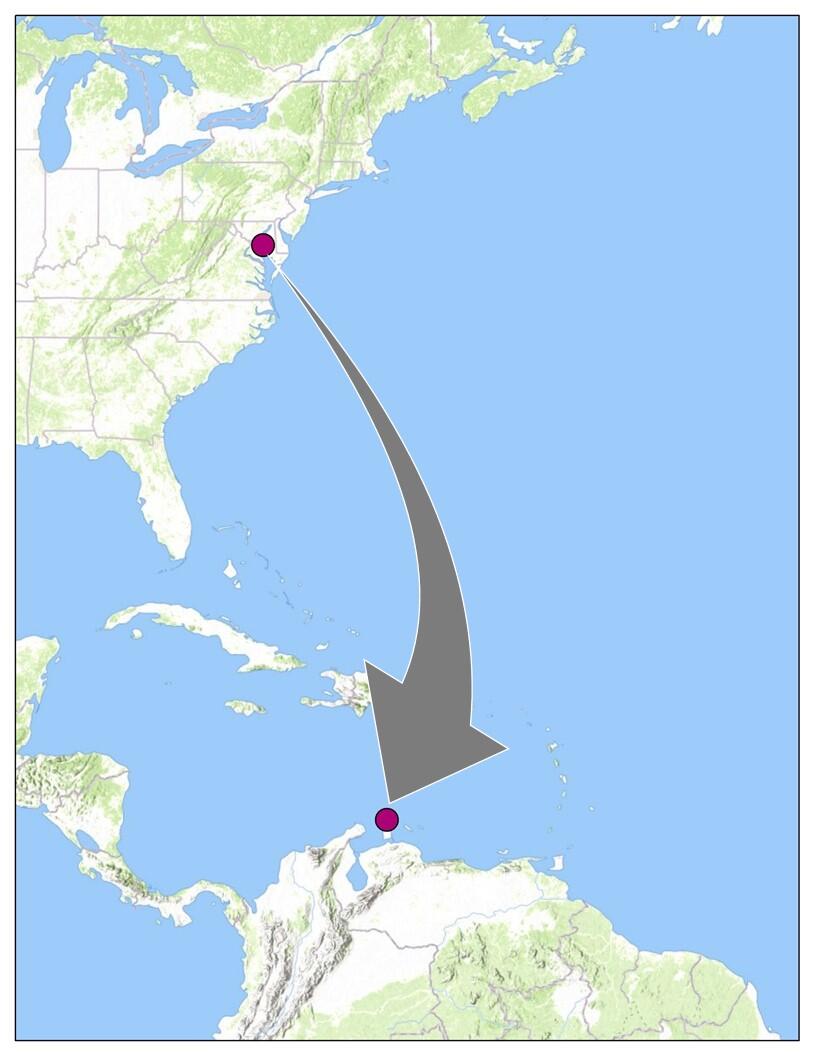 Map of Tern migration