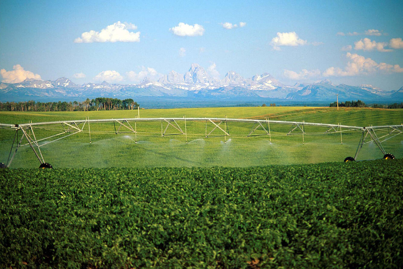 Color photo of irrigated fields near Ashton, Idaho