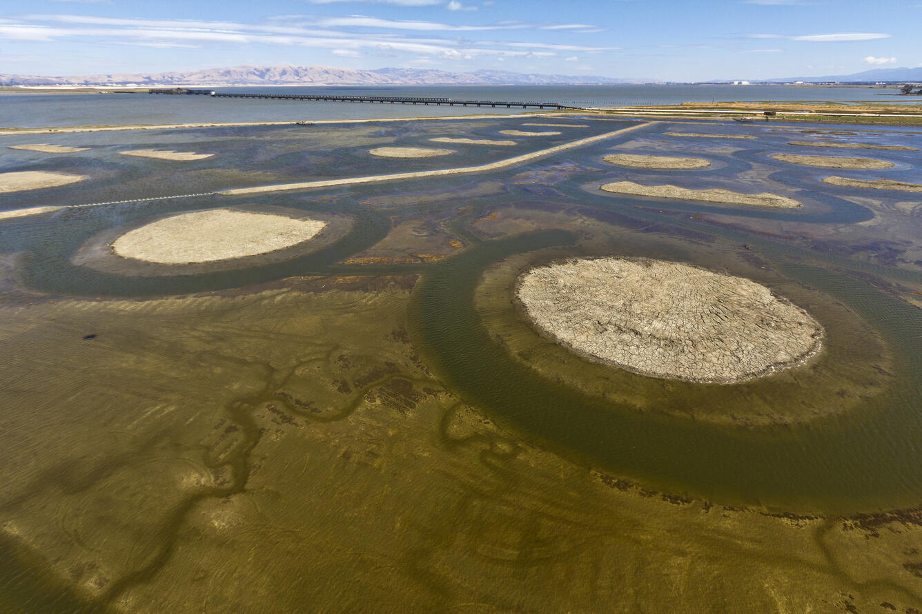 Irving of Pelican Media Pond SF2 with constructed islands