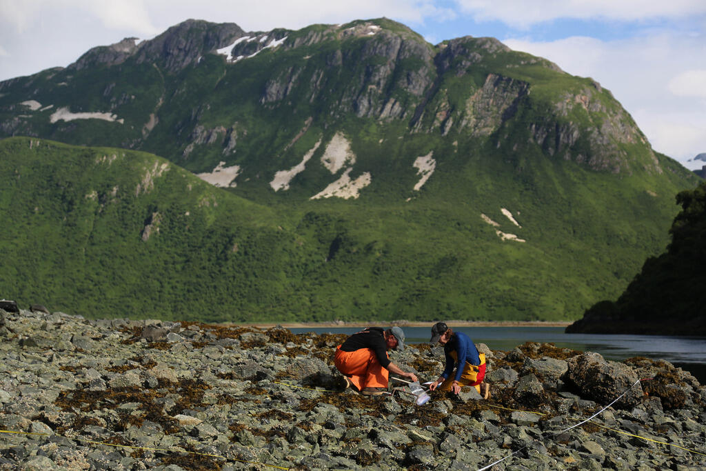 WERC scientists in the field