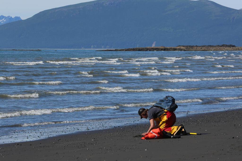 Photo of WERC scientist Dr. Lizabeth Bowen searching for mussels
