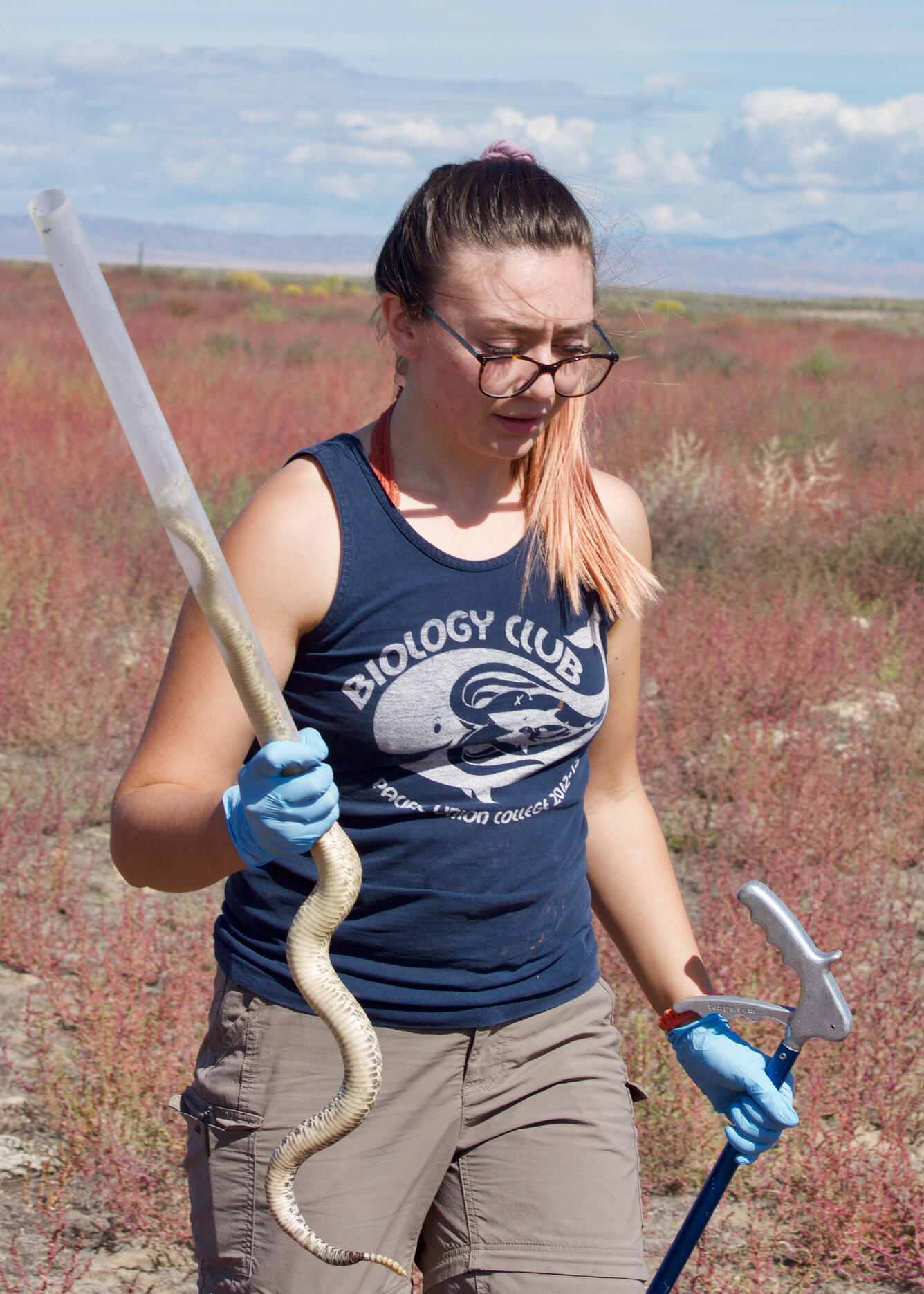 Woman carries a rattlesnake with its head in a tube in one hand and snake tongs in the other