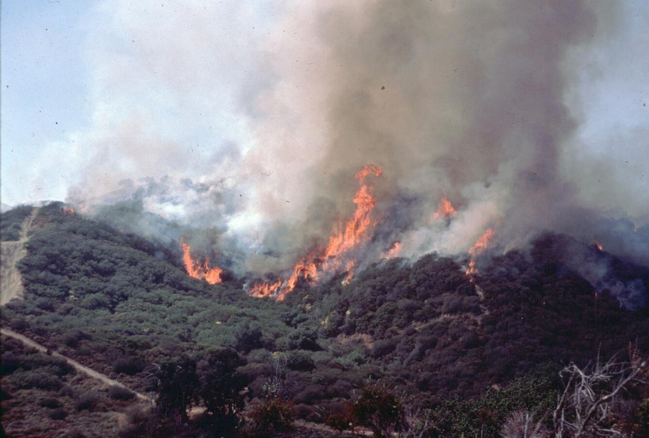 Photo of a hillside burning