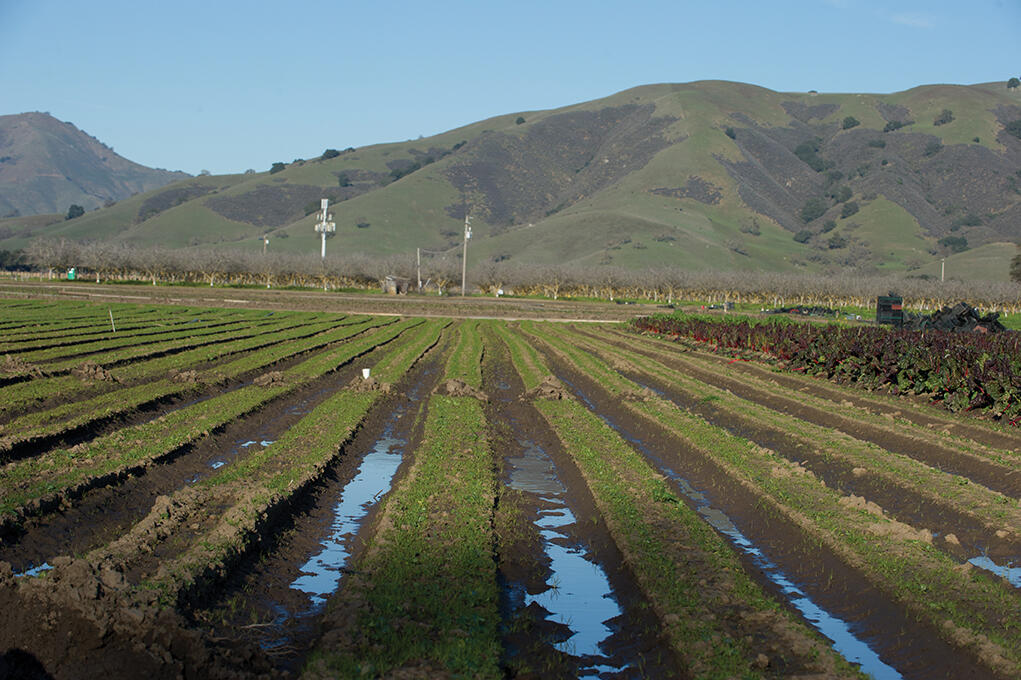 The use of irrigation water in California fields like this can be monitored by Landsat satellites. 