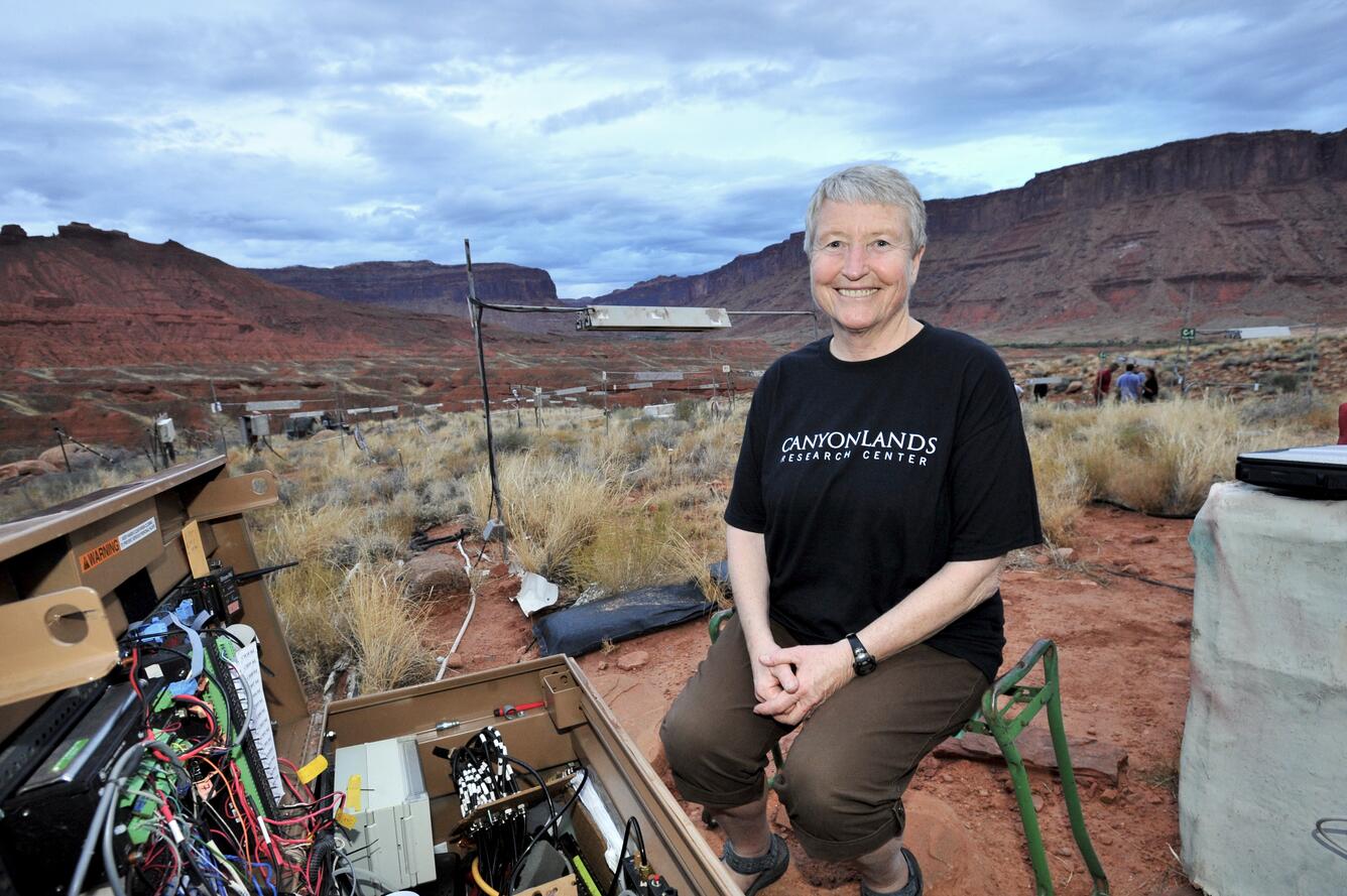 Photo of USGS scientist Jayne Belnap examining instrumentation to measure photosynthetic rates of biocrusts.