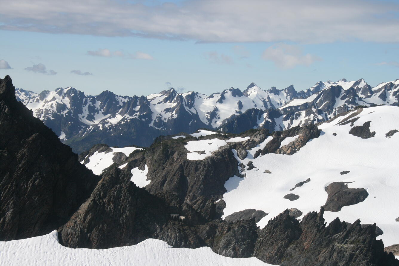 Photograph showing three mountain goats traversing rocky terrain in Olympic National Park, Washington