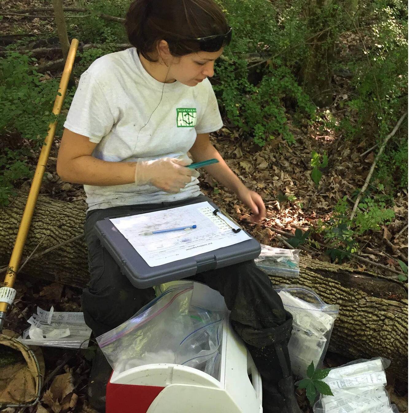 ARMI field technician testing for B sal