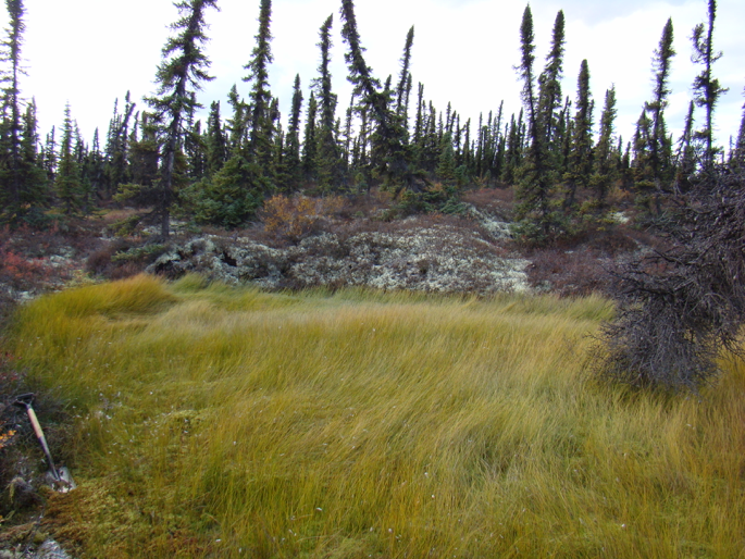 Thawing Permafrost