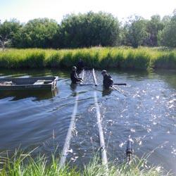 Installation of PIT tag antennas