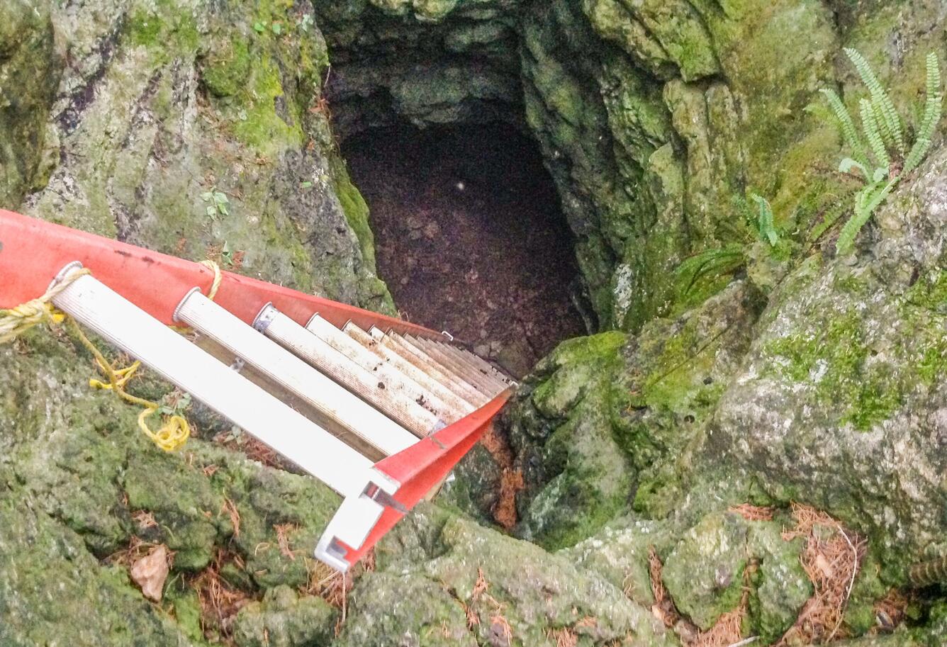 Ladder descending into Friesenhahn Cave opening