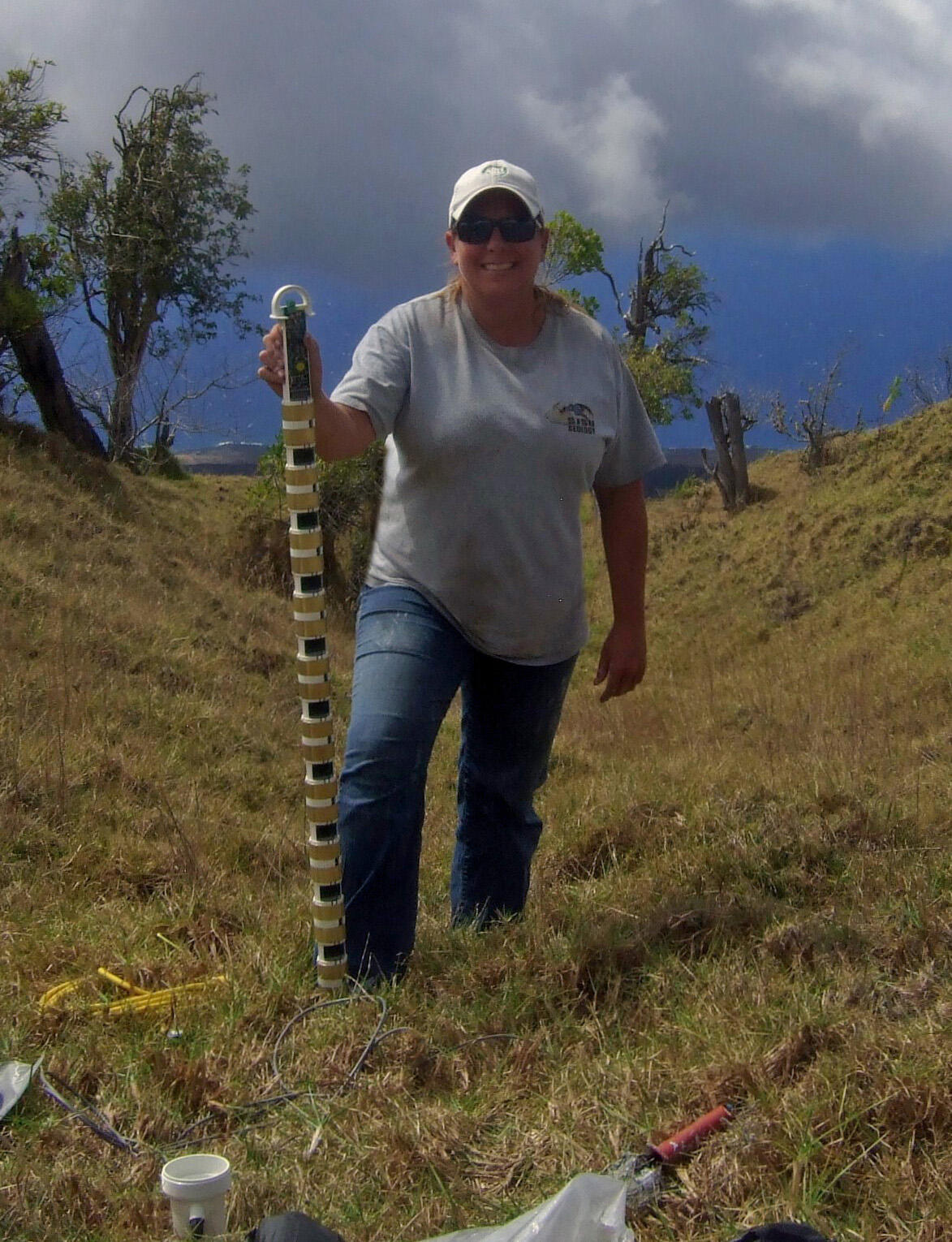 Kim working at Auwahi