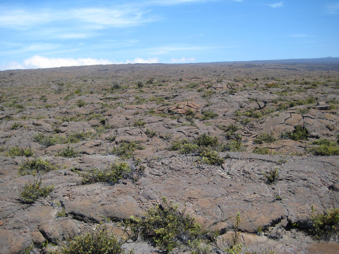 Kahuku lava fields