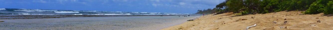 A beach on the Island of Kauai, where the ocean meets the beach. Blue sky and calm waves on the left hand side, meeting the sand