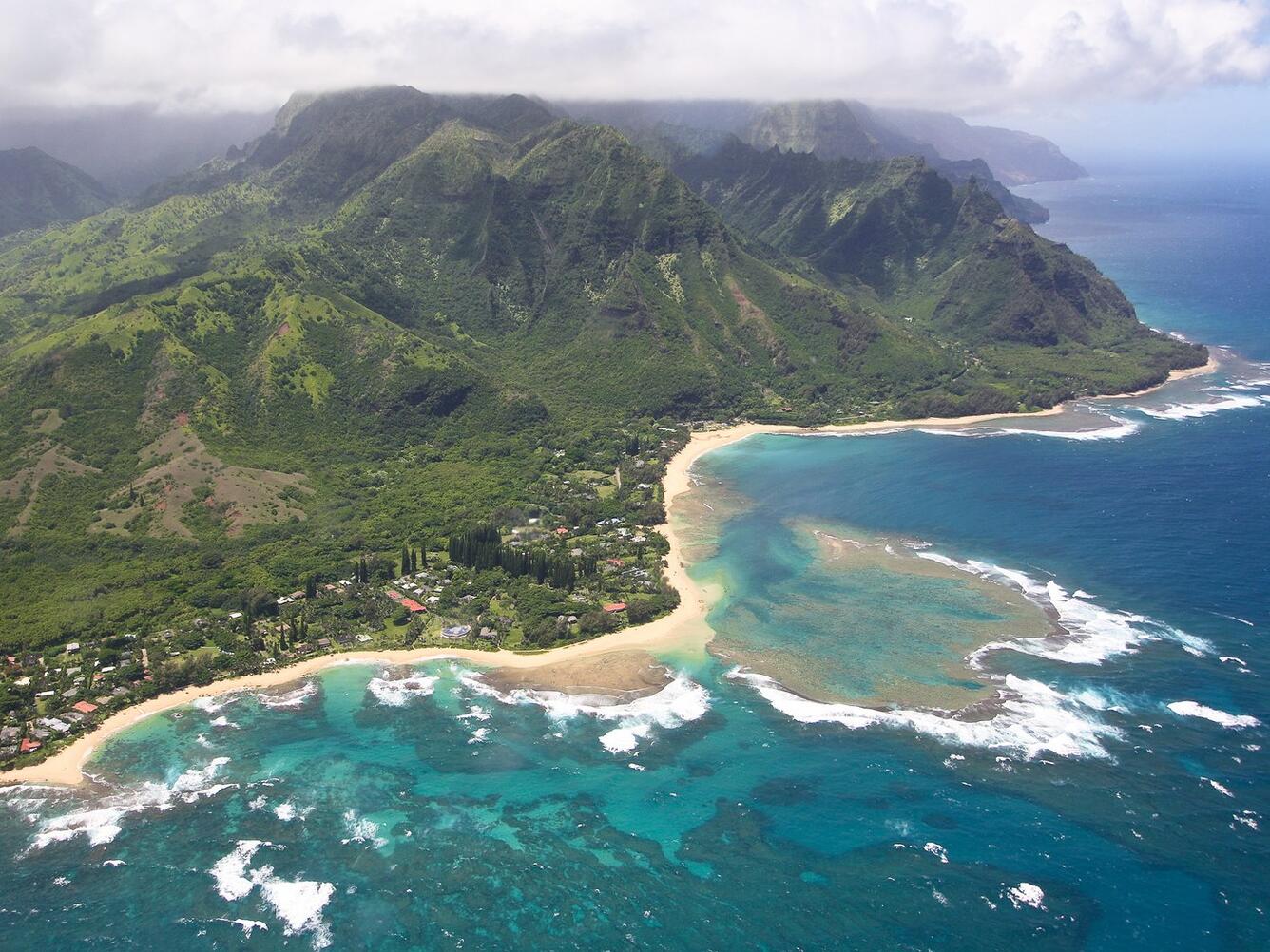 An aerial image of a forested island encompassed by a thin white beach next to a deep blue ocean.