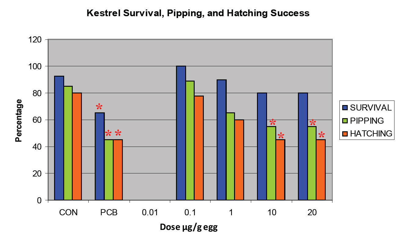 Graph of Kestrel survival, Pipping and Hatching Success