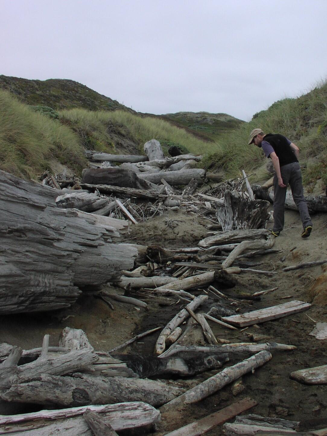 Pat Kleeman searches for CA red-legged frogs