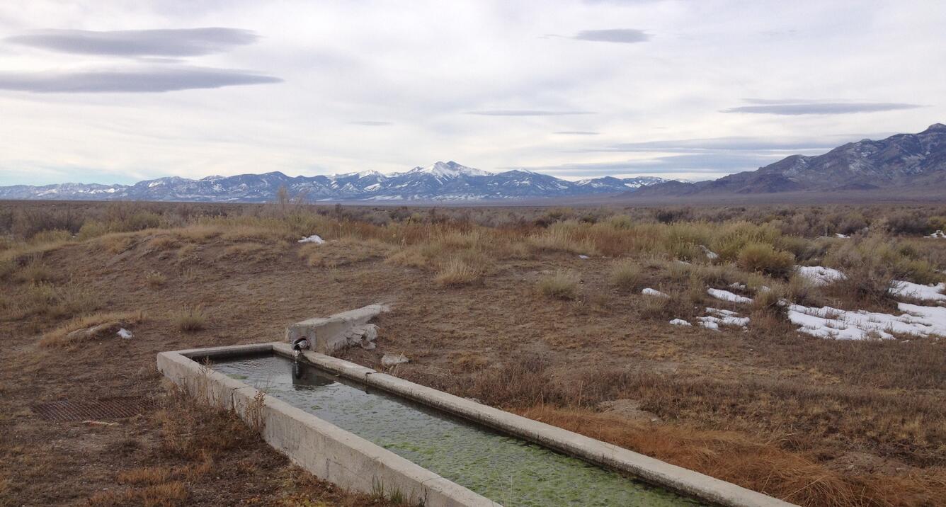 Knoll Spring and trough