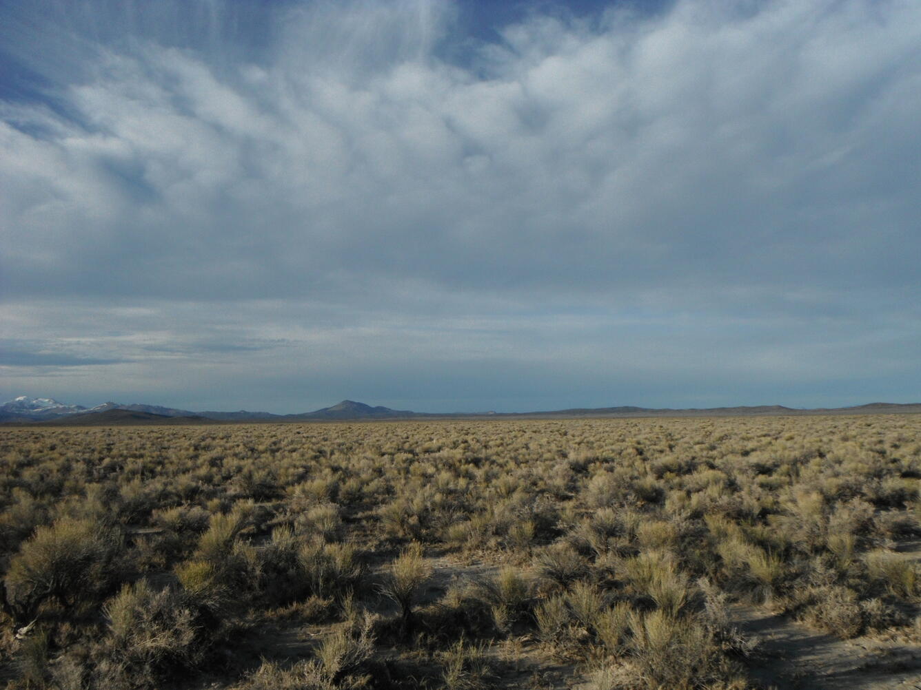 kobeh valley landscape with mountain in distance