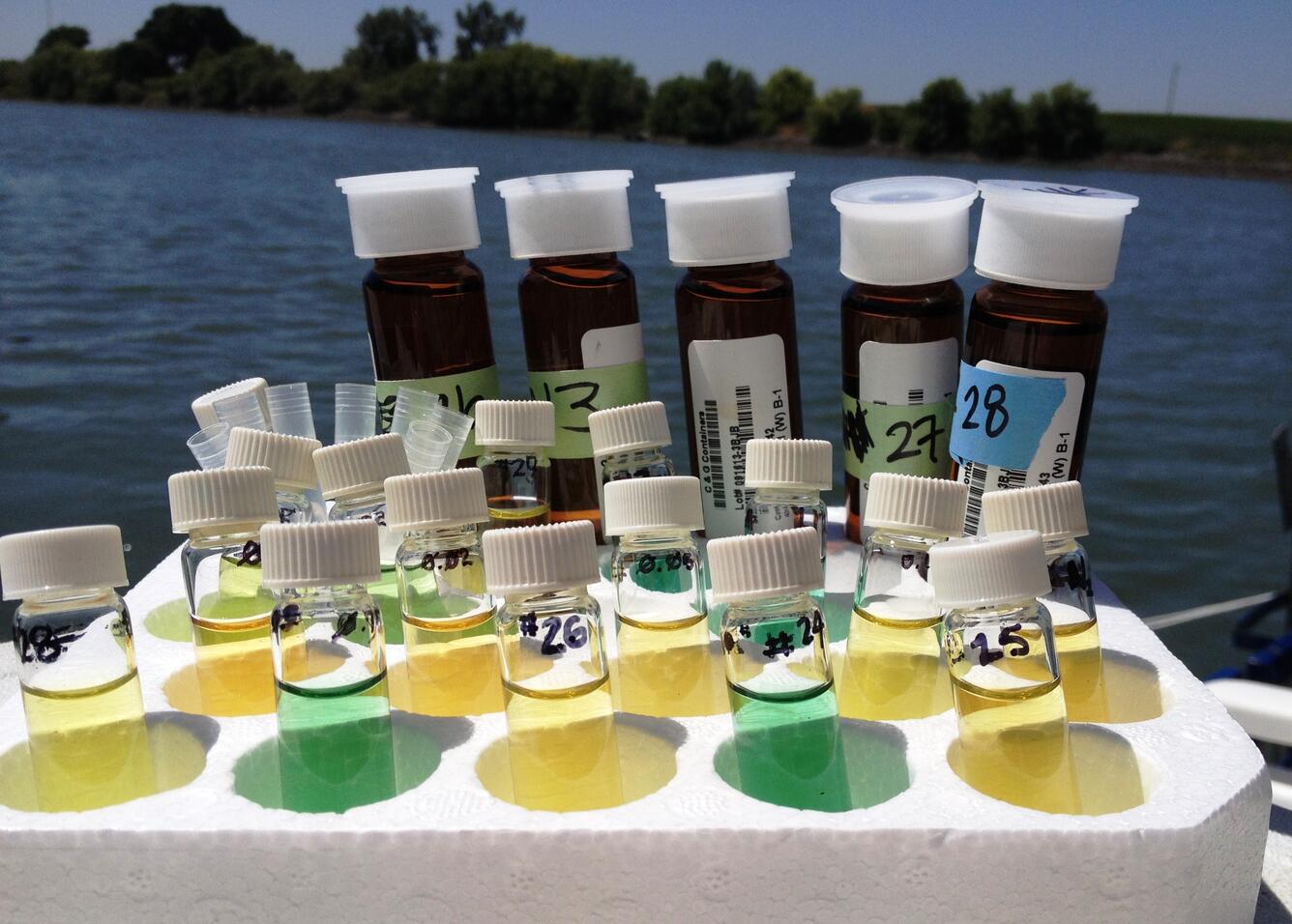 SF Kraus Sac River Lagrangian studies