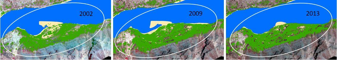 Repeat aerial photography of a marsh in Grand Canyon