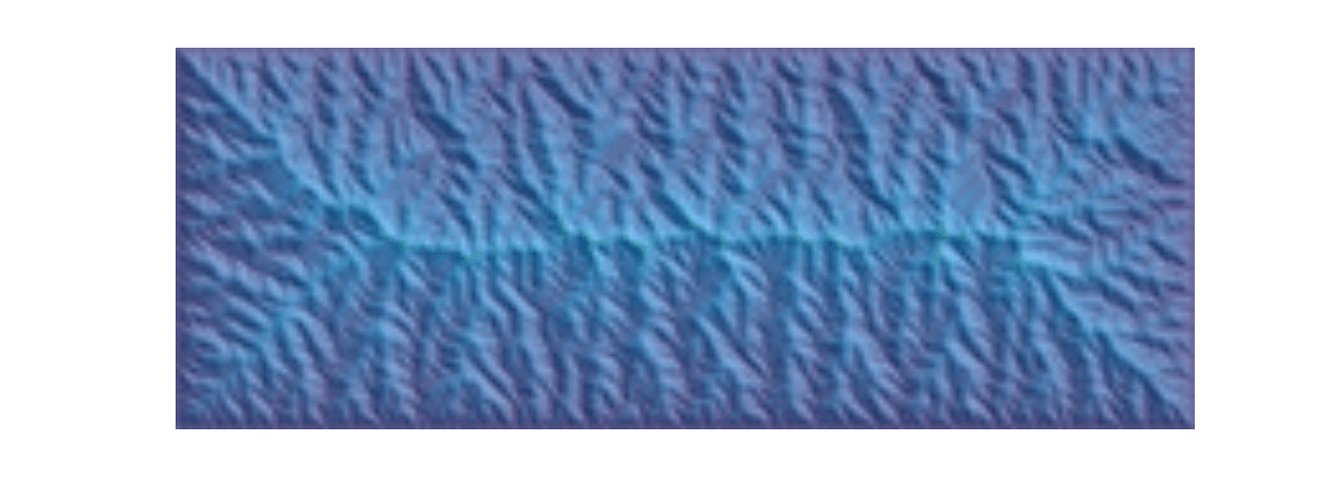 Animated GIF of a computer simulation of an evolving landscape