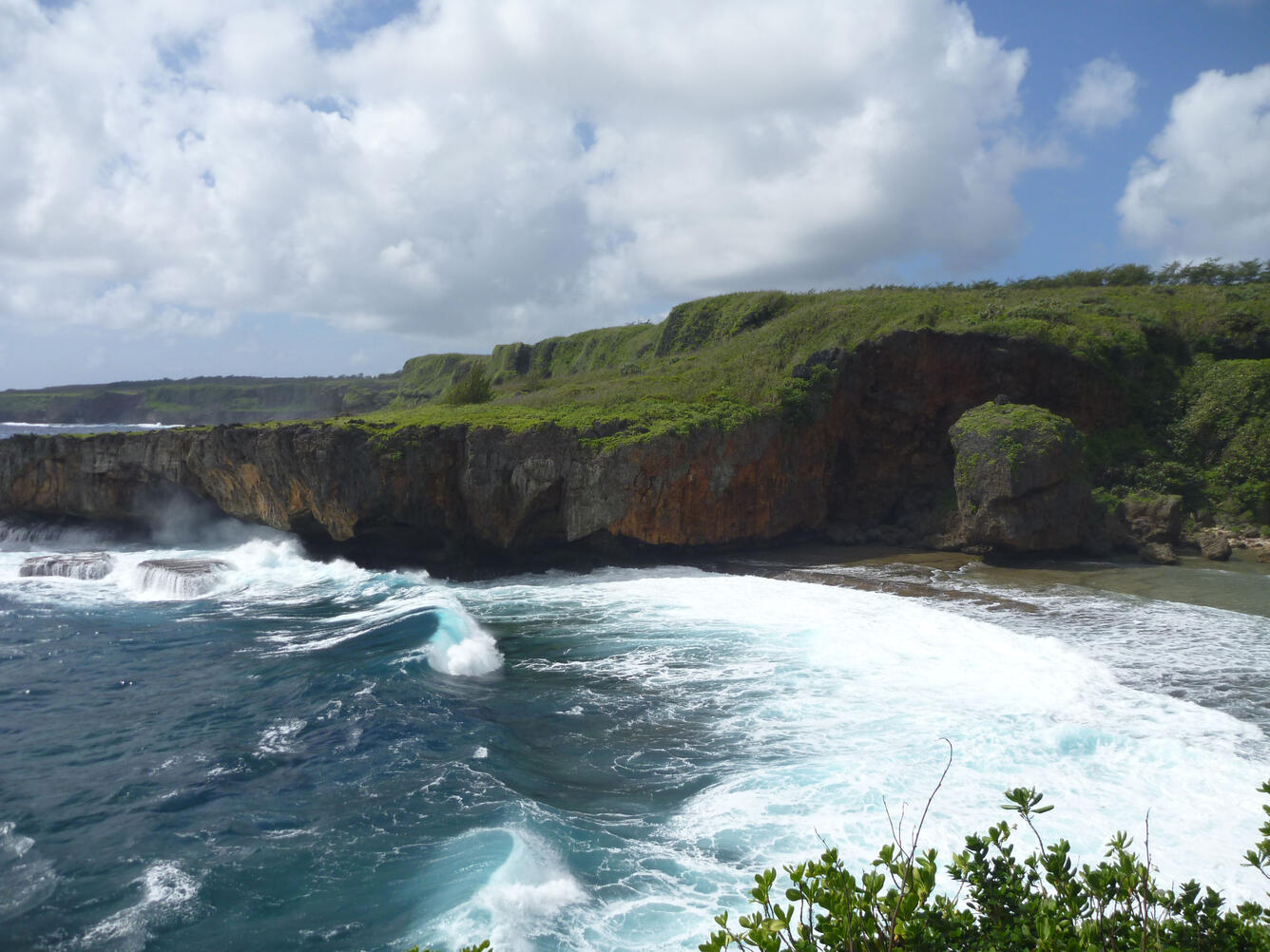 Coral reef marine terrace on Saipan