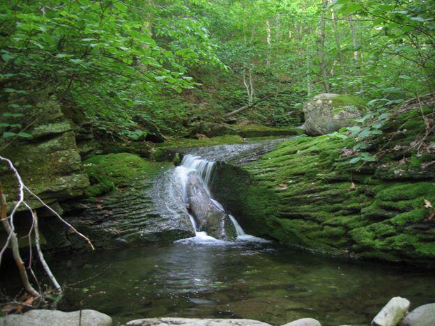 stream going over large moss covered rocks in middle of green leafed trees