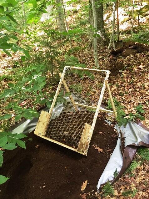 a screen propped up over mound of dirt on forest floor