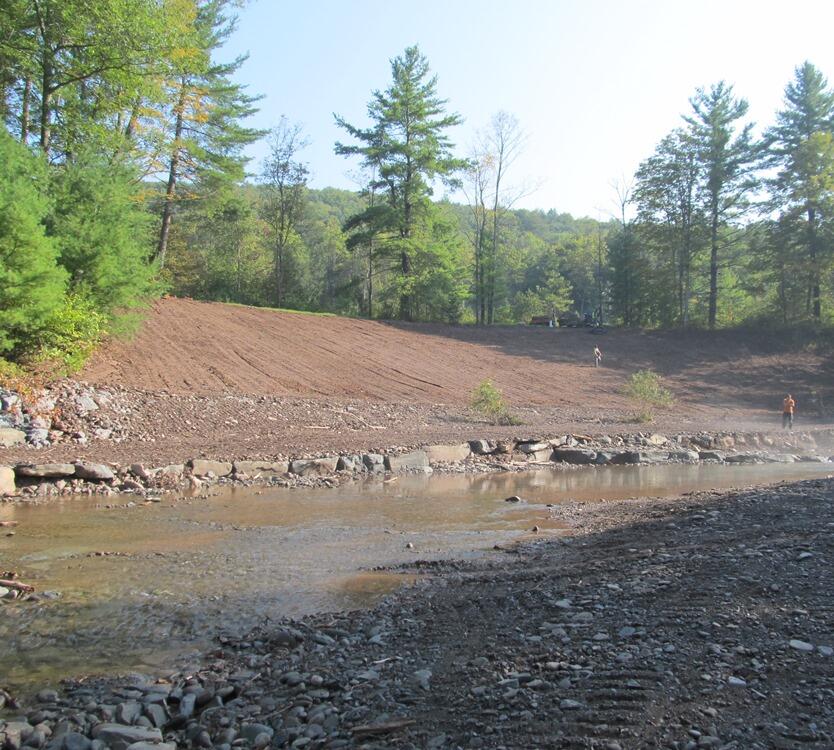 dirt bank at the side of a stream surrounded by forestt