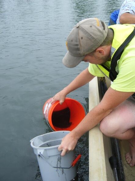 man on boat in water holding two buckets