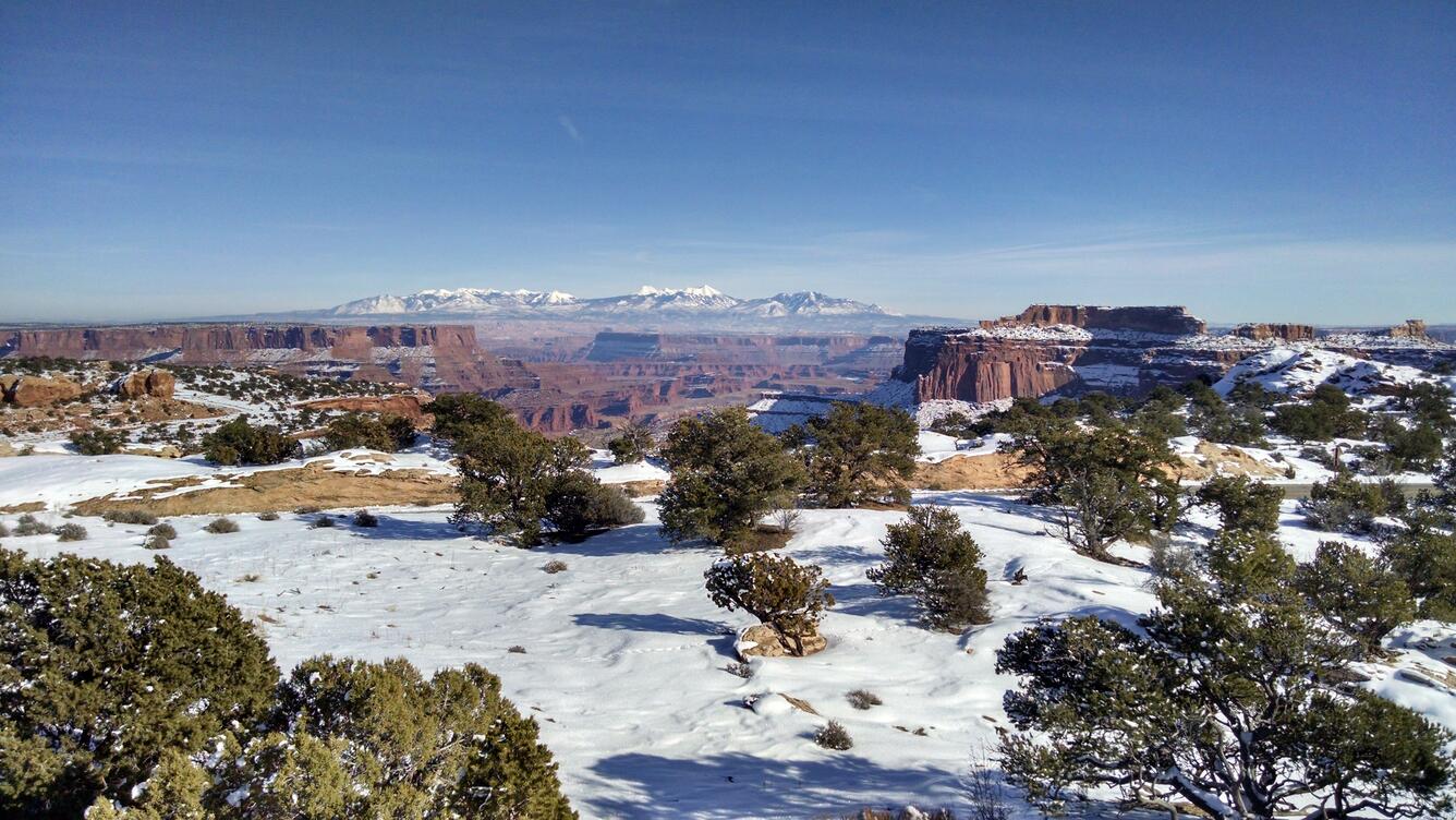 Juniper woodland with snow-capped La Sal Mountains in background