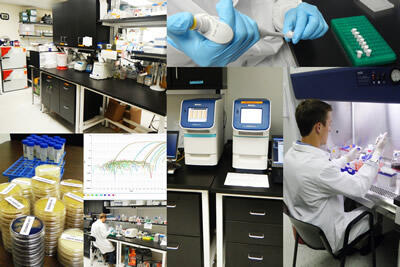 Collage of various photos of processing in a Microbiology Laboratory showing equipment