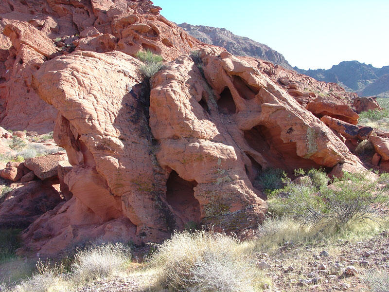 This is a photo of cave-like features formed from tafoni-style weathering of the Aztec Sandstone.