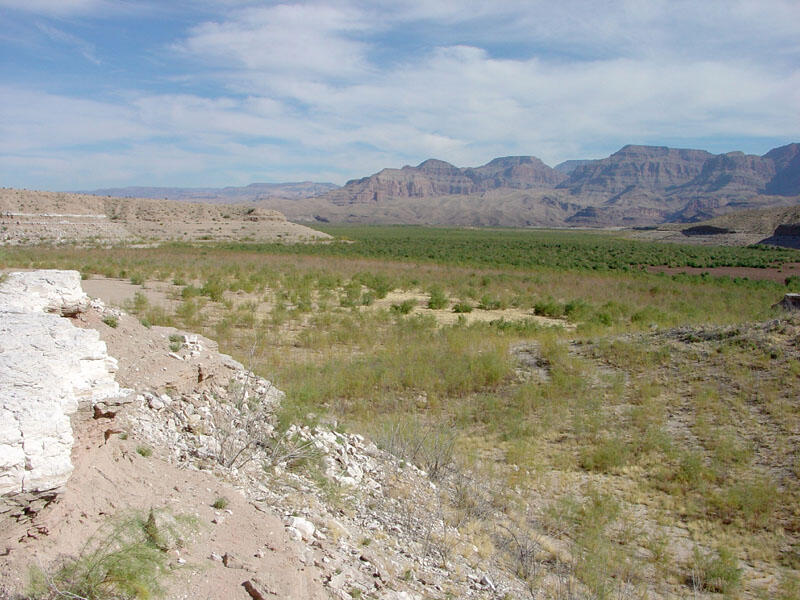 This is a photo of a view looking northeast from a low hilltop next to Pierce Ferry.