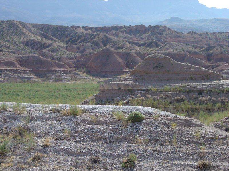 This is a photo of the Muddy Creek Formation.