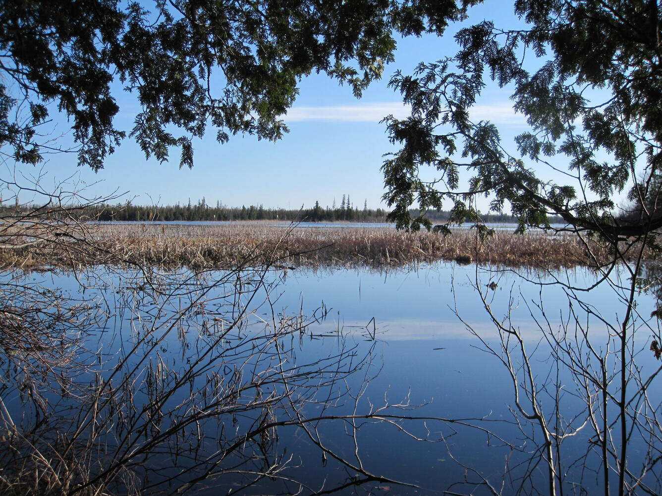 Lake in Michigan, Lower Peninsula