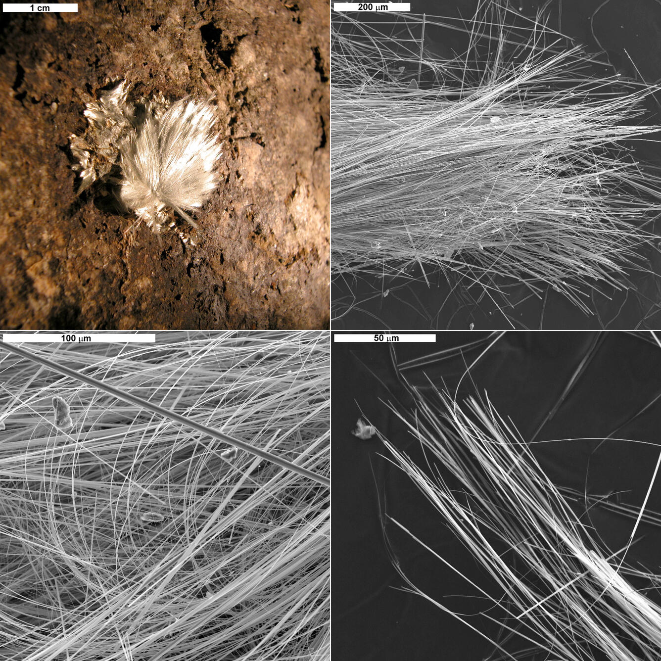 winchite and richterite