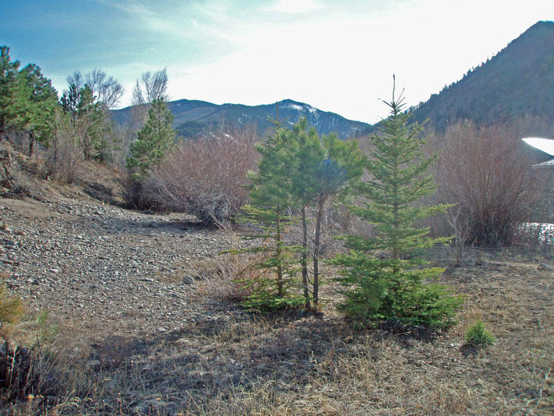 Lake Fork of the Gunnison near Lake City