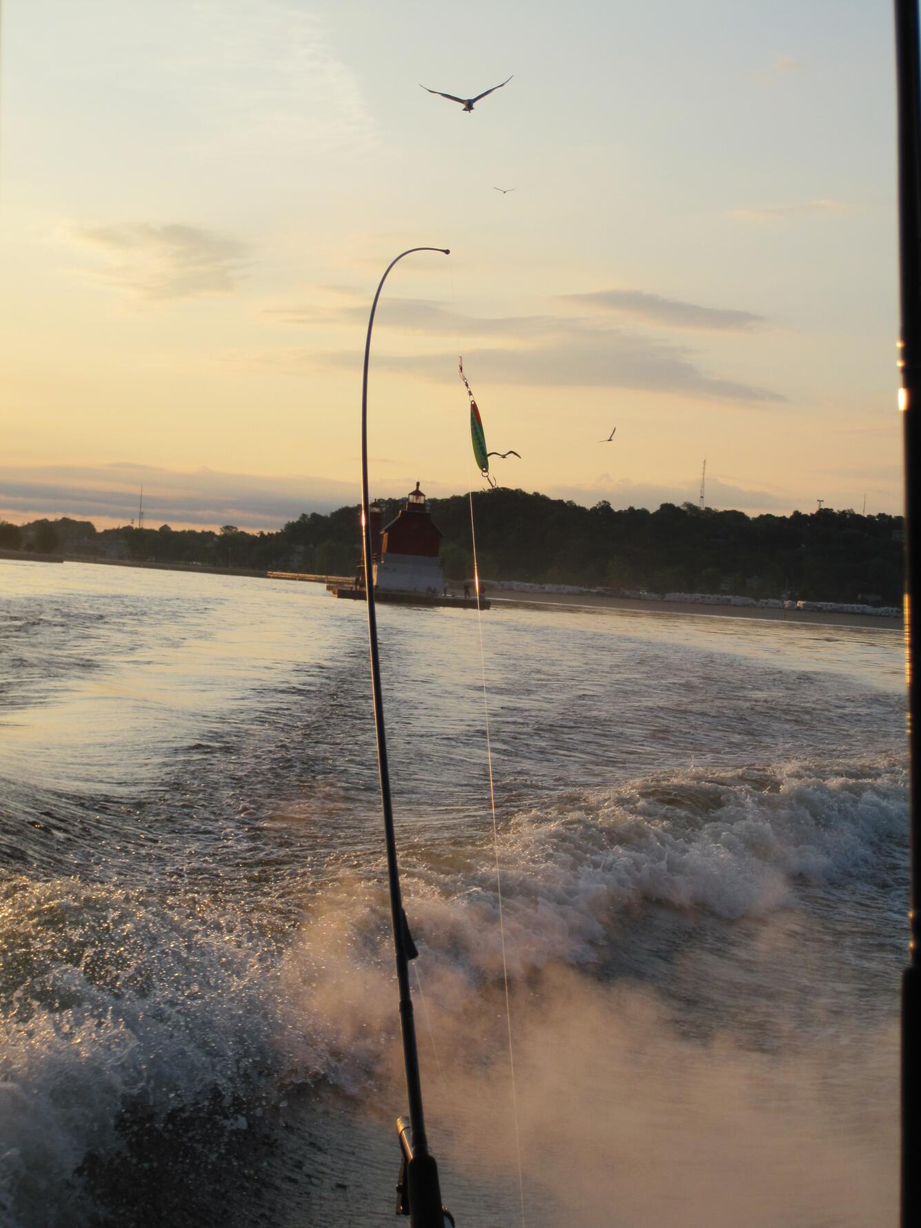 Lake Michigan Recreational Abby Lynch 4
