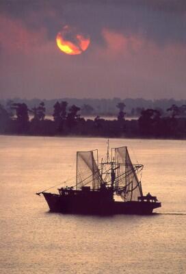 Lake Pontchartrain, Louisiana, like many other Gulf coastal waters, is an important recreational and commercial fishing resource