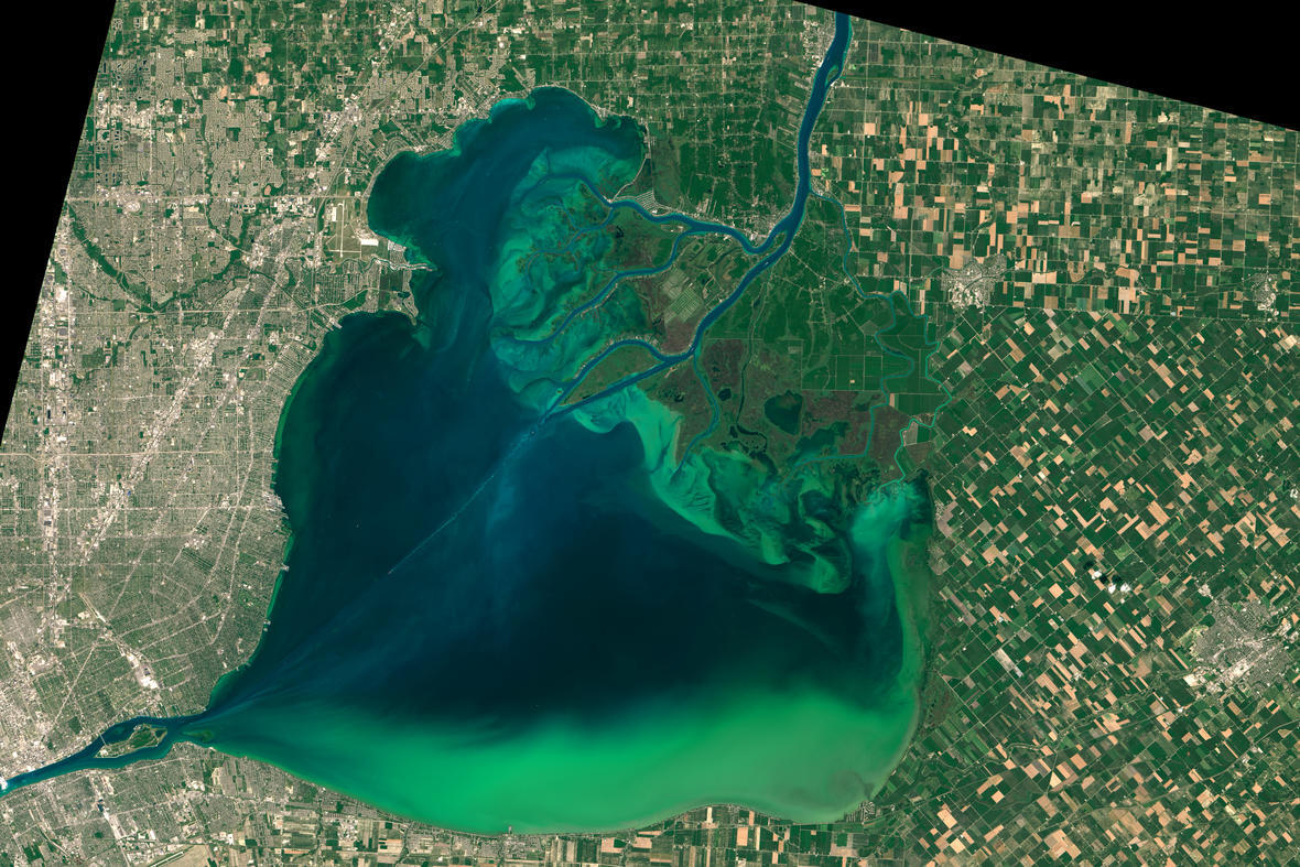 Landsat Image of Cyanobacteria