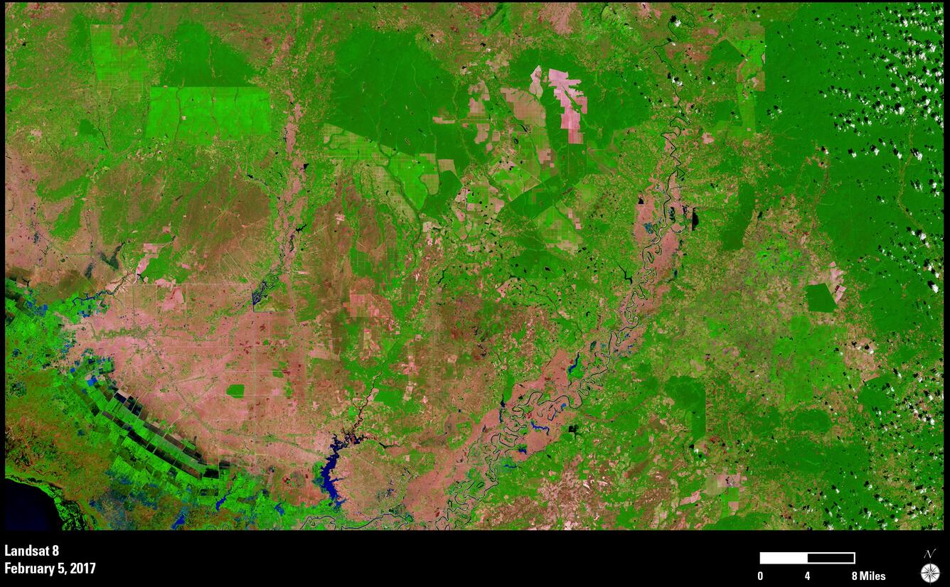 Image shows a satellite view of forests in Cambodia.